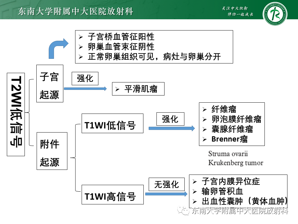 影像PPT - 【PPT】卵巢含纤维成份占位性病变分析-28