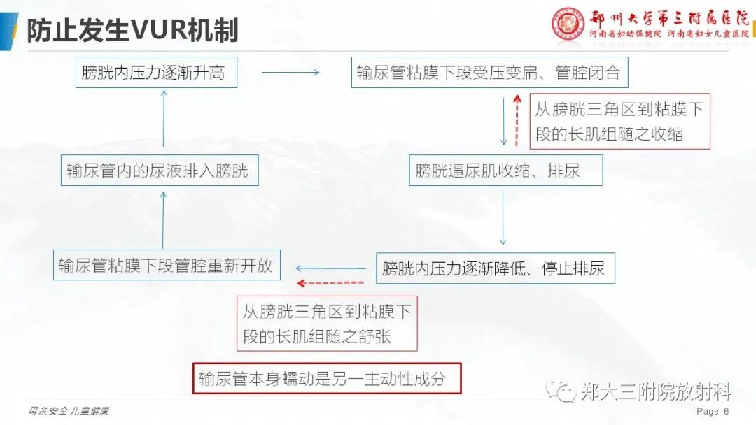影像PPT - 【PPT】膀胱输尿管返流的影像诊断-6