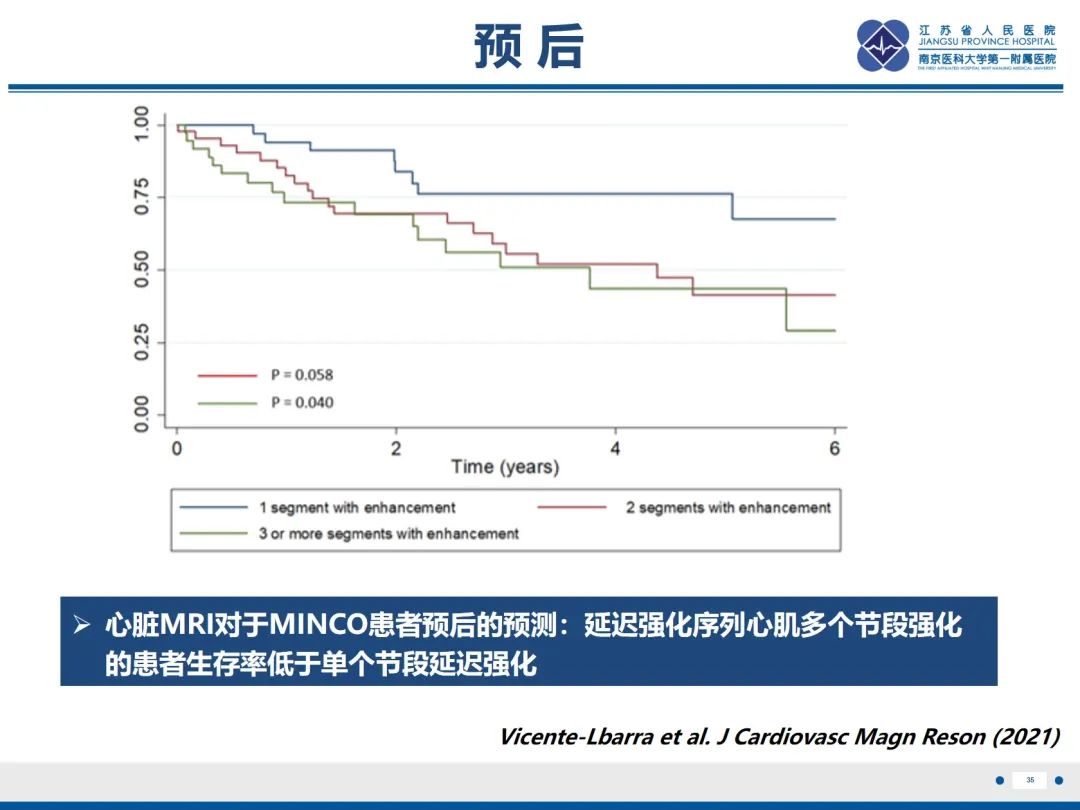 影像PPT - 【PPT】冠脉非阻塞型心肌梗死-36
