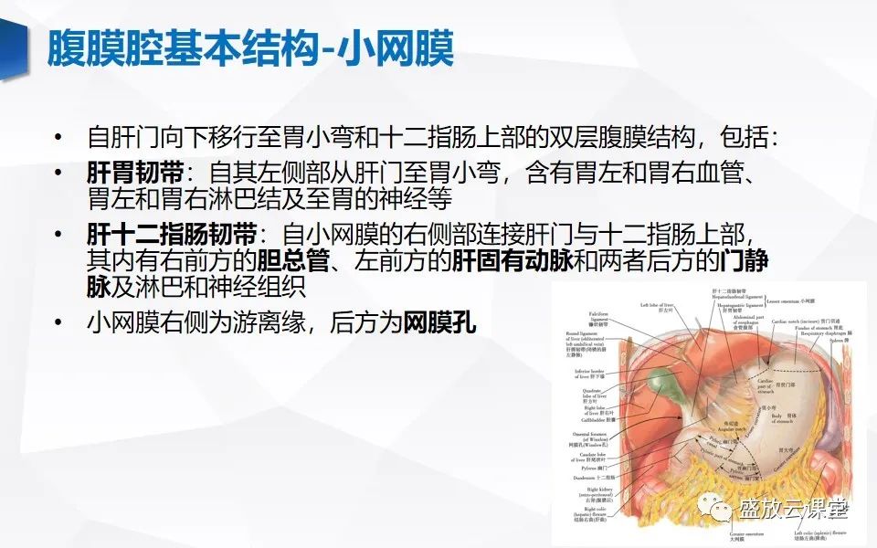 影像PPT - 【PPT】先天性腹内疝的影像诊断思路-5