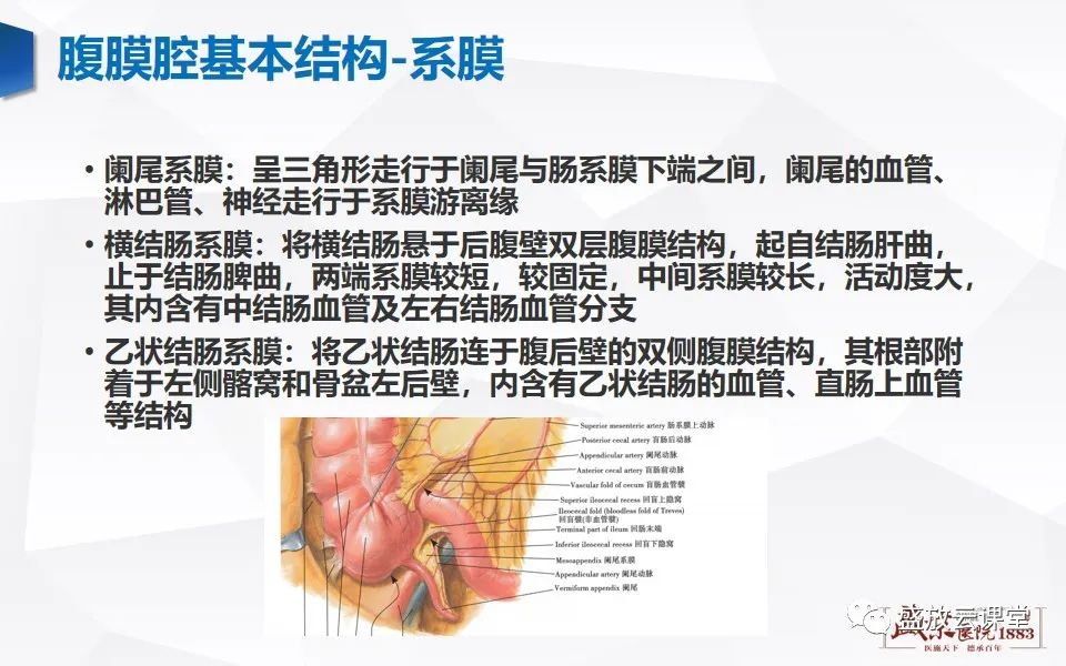 影像PPT - 【PPT】先天性腹内疝的影像诊断思路-10