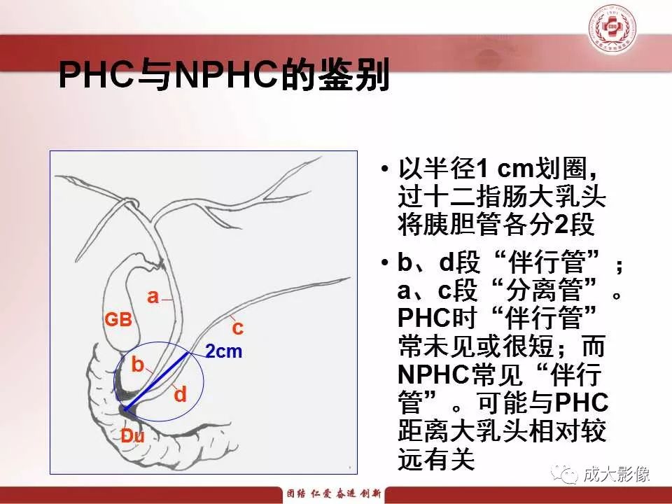 影像PPT - 【PPT】壶腹部周围癌的鉴别-5