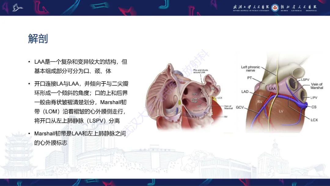 影像PPT - 【PPT】经导管左心耳封堵术CT评估-4