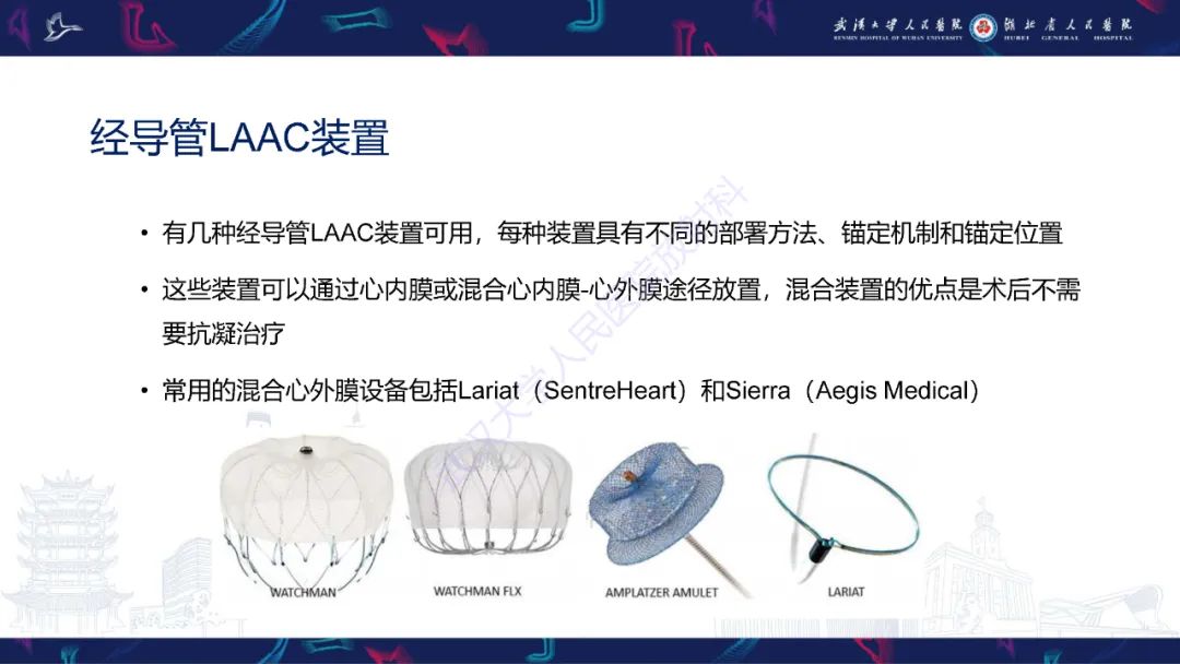 影像PPT - 【PPT】经导管左心耳封堵术CT评估-10