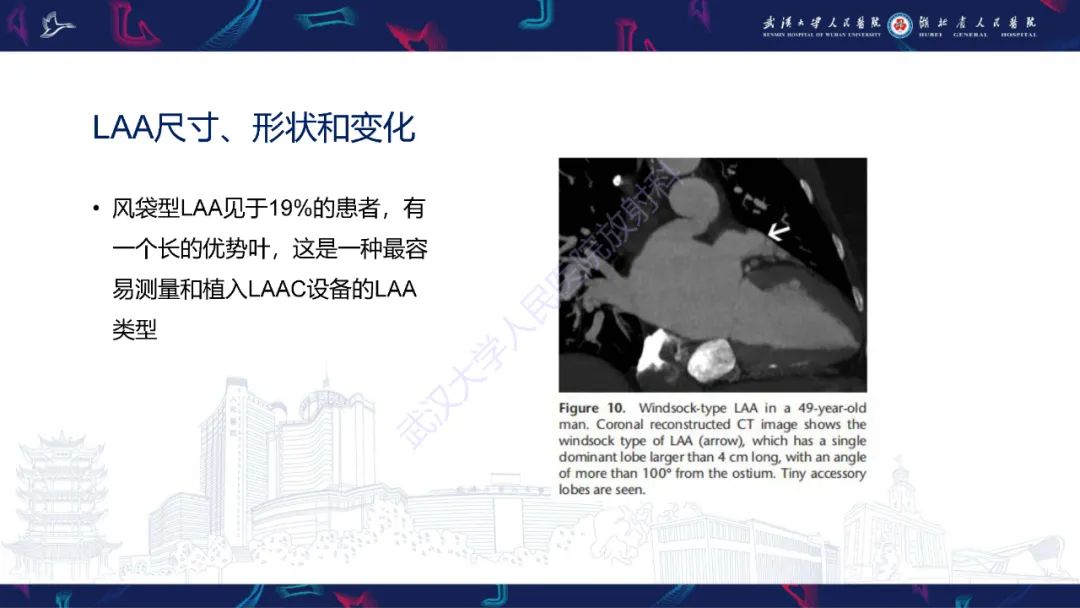 影像PPT - 【PPT】经导管左心耳封堵术CT评估-30