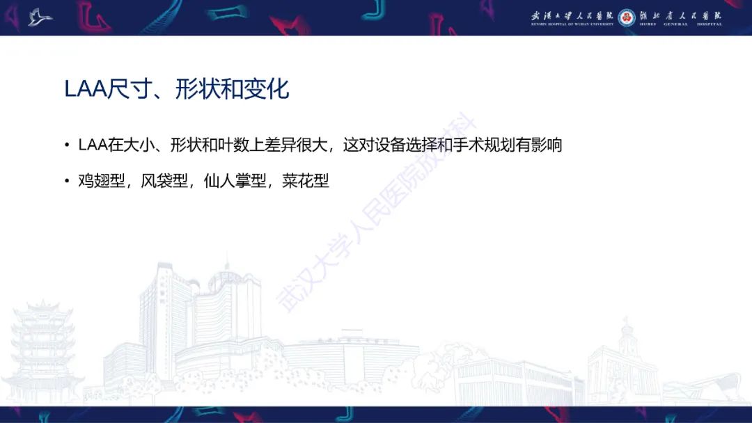 影像PPT - 【PPT】经导管左心耳封堵术CT评估-29