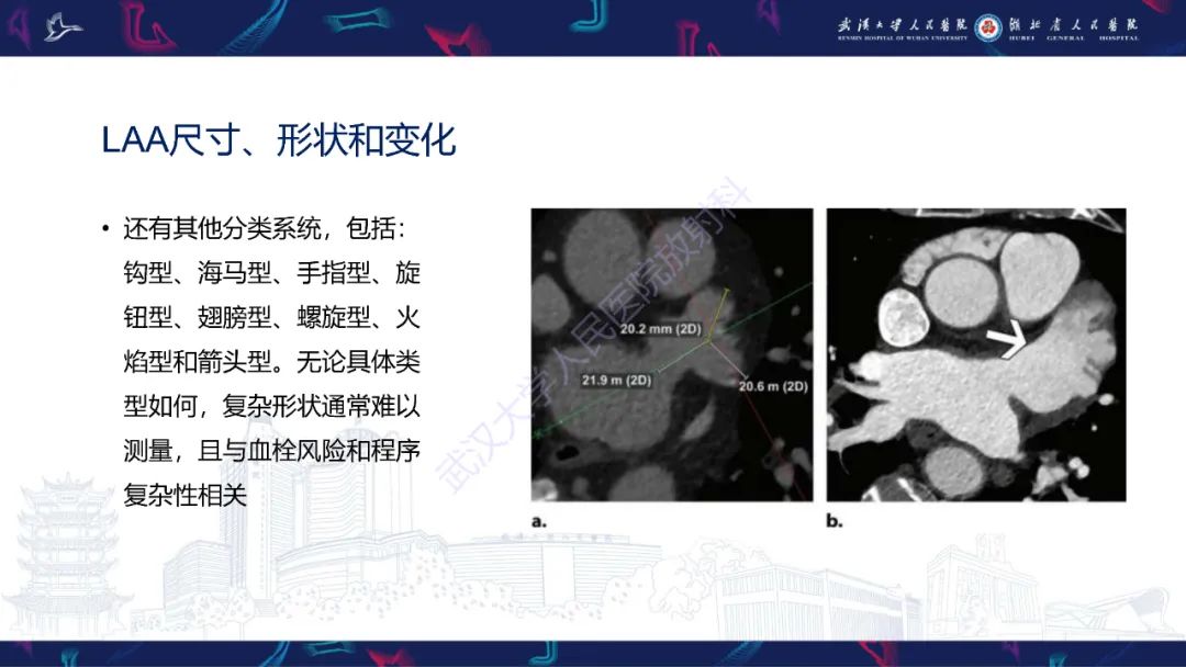 影像PPT - 【PPT】经导管左心耳封堵术CT评估-36