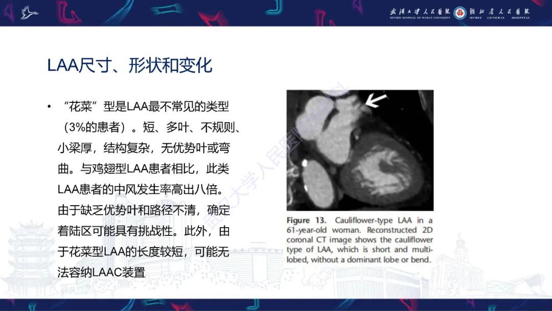 影像PPT - 【PPT】经导管左心耳封堵术CT评估-33