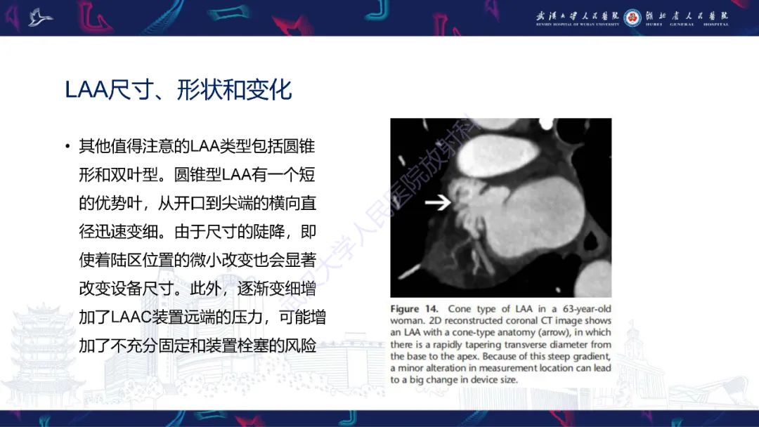 影像PPT - 【PPT】经导管左心耳封堵术CT评估-34