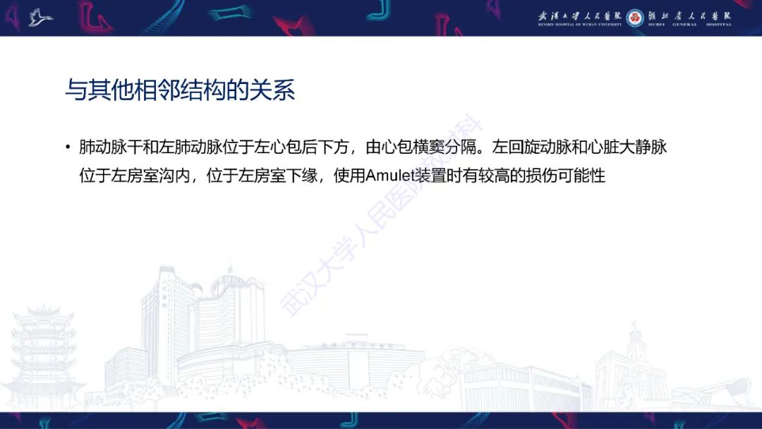 影像PPT - 【PPT】经导管左心耳封堵术CT评估-41