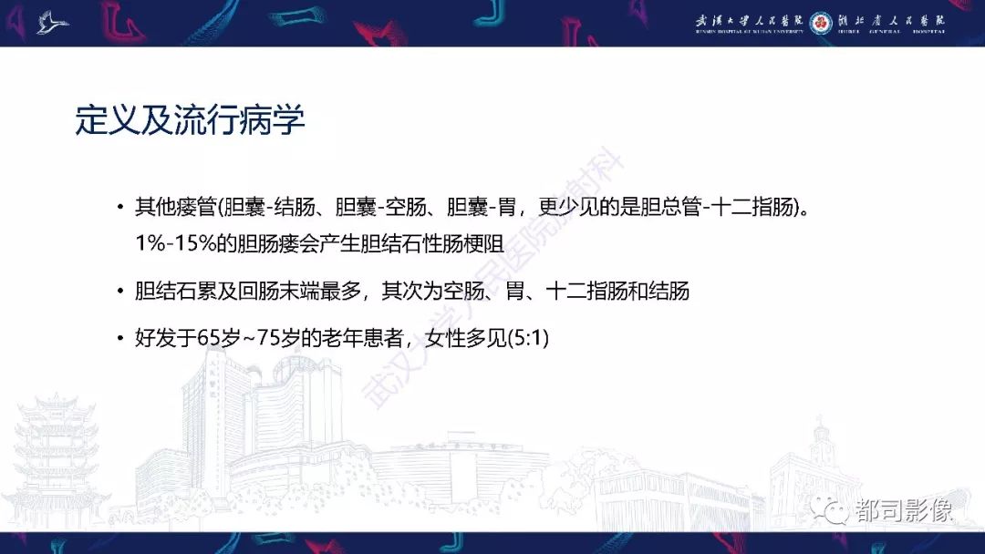 影像PPT - 【PPT】胆结石性肠梗阻影像诊断-7