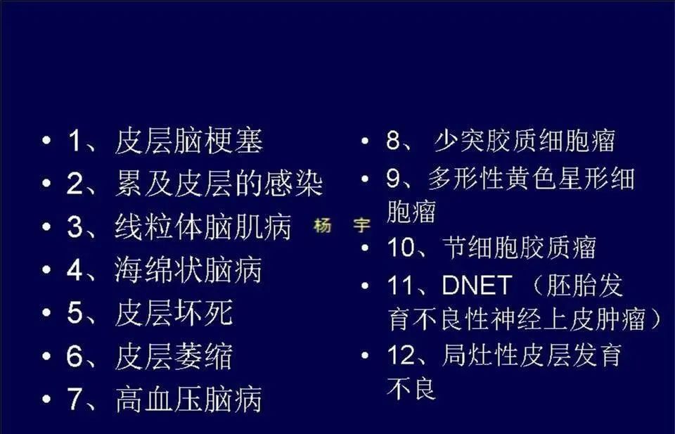 影像PPT - 【PPT】脑皮层病变的MRI表现-2