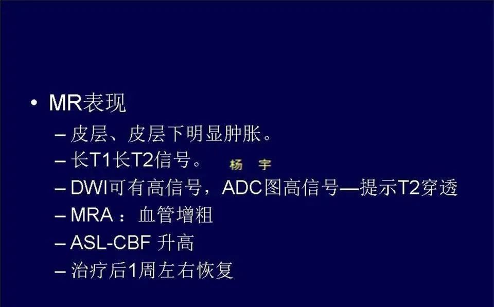 影像PPT - 【PPT】脑皮层病变的MRI表现-47