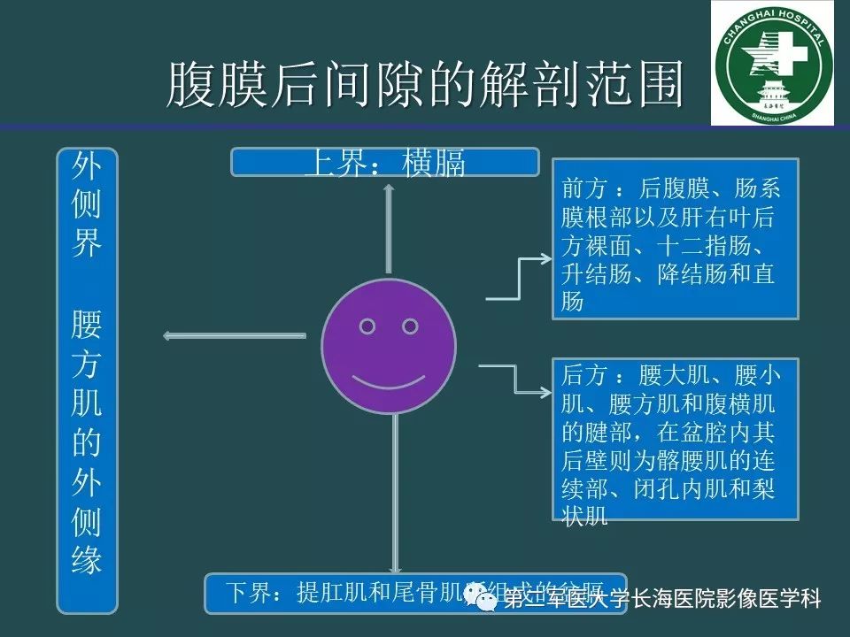 影像PPT - 【PPT】常见的腹膜后占位诊断及鉴别诊断-47
