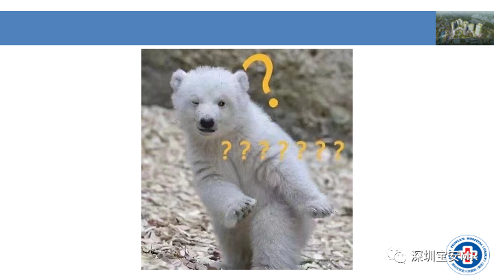影像PPT - 【PPT】淀粉样脑血管病的影像诊断-3