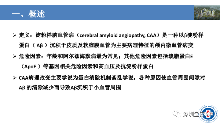 影像PPT - 【PPT】淀粉样脑血管病的影像诊断-6