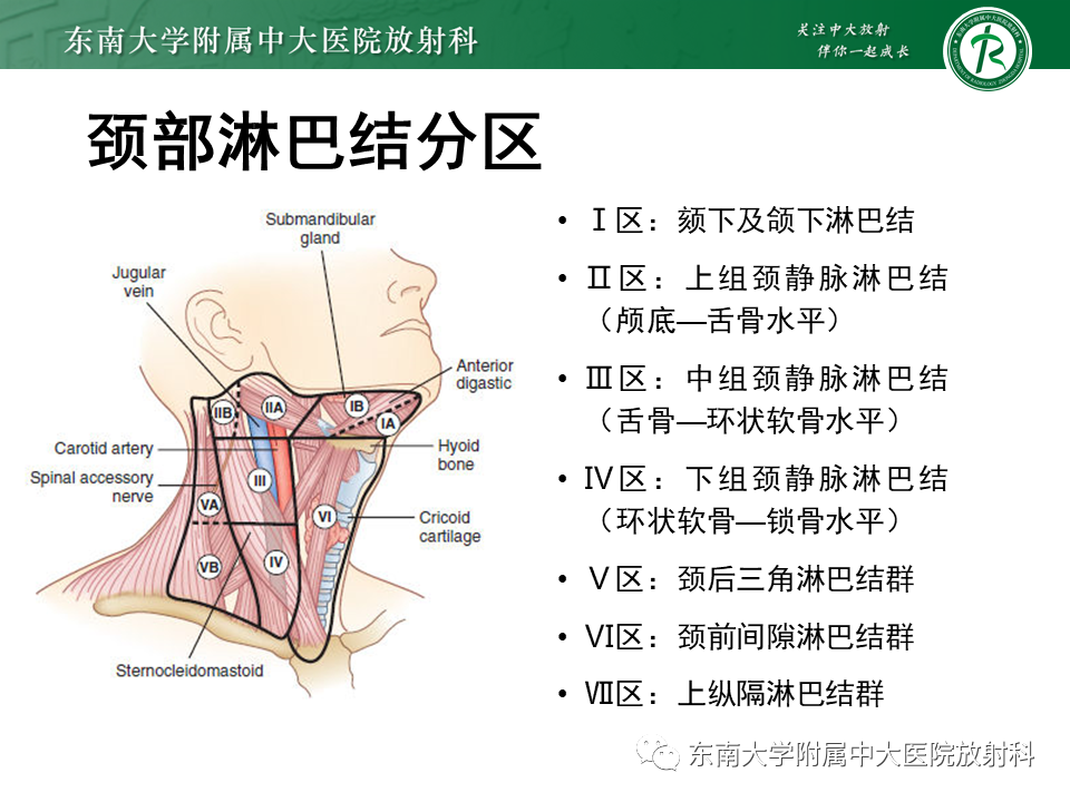 影像PPT - 【PPT】喉癌-9