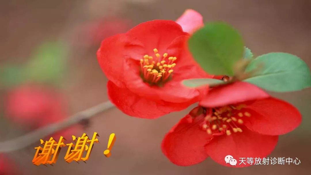 影像PPT - 【PPT】输卵管卵巢脓肿CT、MRI诊断及鉴别诊断-39 影像PPT - 【PPT】输卵管卵巢脓肿CT、MRI诊断及鉴别诊断-39