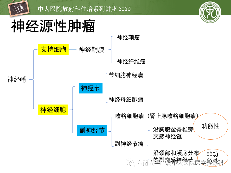 影像PPT - 【PPT】头颈部神经源性肿瘤的影像诊断-2