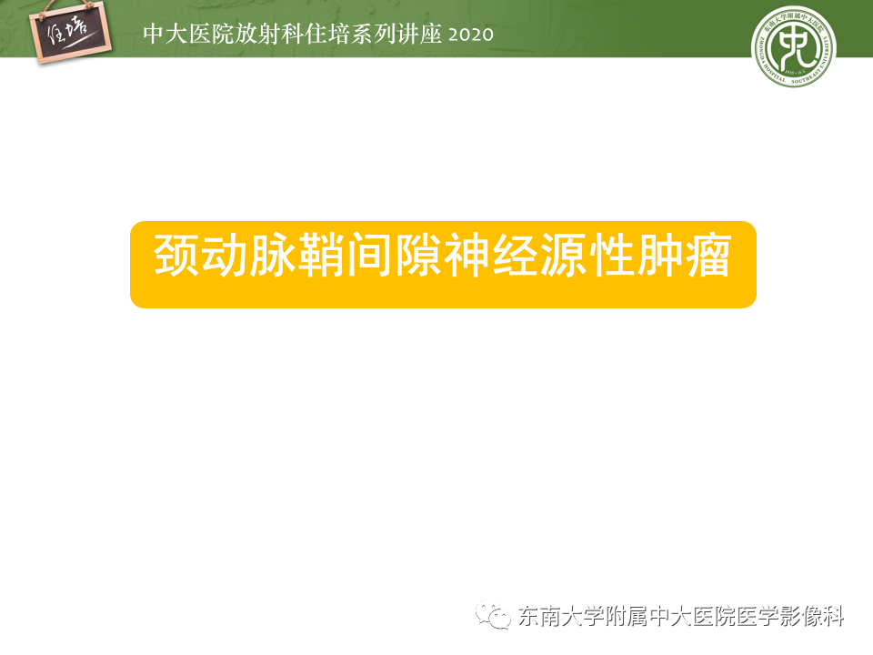 影像PPT - 【PPT】头颈部神经源性肿瘤的影像诊断-19