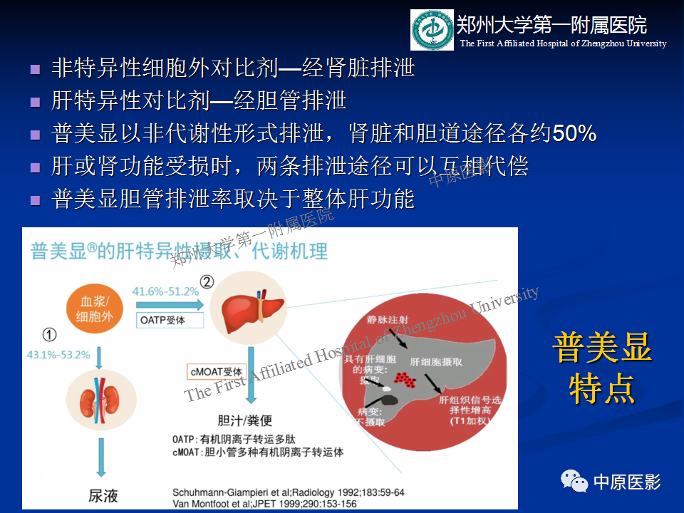 影像PPT - 【病例】肝脏结节性肝硬化1例MR影像-10