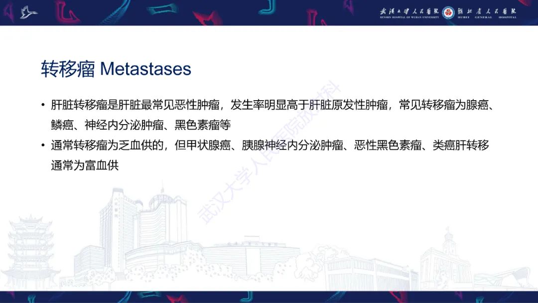 影像PPT - 【PPT】肝脏多房囊性病变影像诊断-12