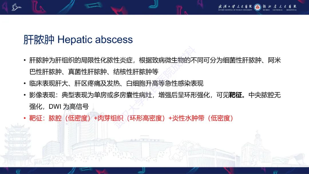 影像PPT - 【PPT】肝脏多房囊性病变影像诊断-23