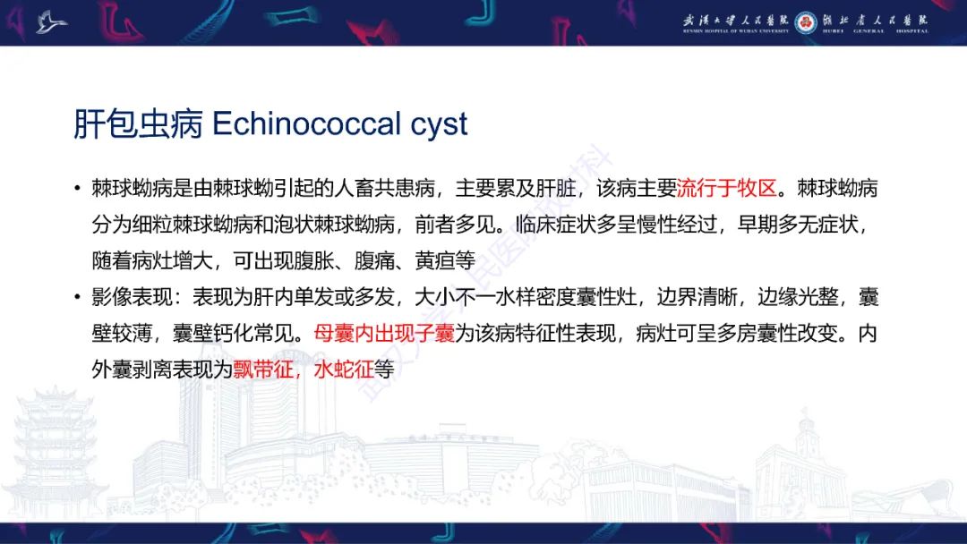 影像PPT - 【PPT】肝脏多房囊性病变影像诊断-26
