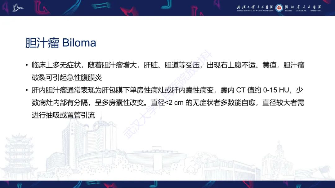 影像PPT - 【PPT】肝脏多房囊性病变影像诊断-31