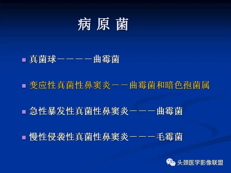 影像PPT - 【PPT】变应性真菌性鼻窦炎的影像表现-3