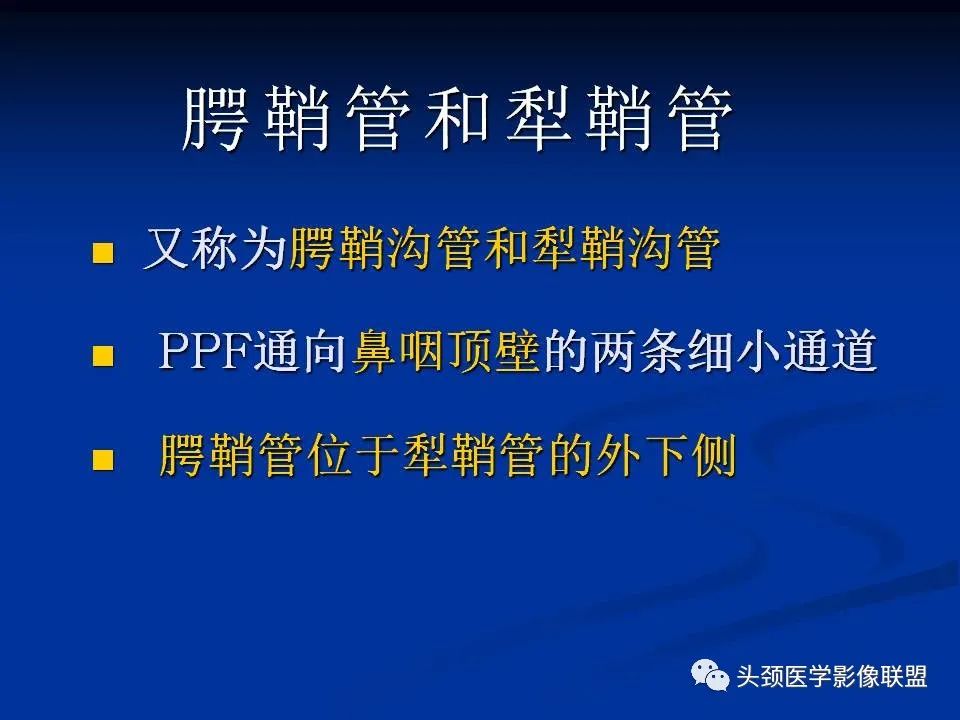 影像PPT - 【PPT】变应性真菌性鼻窦炎的影像表现-64