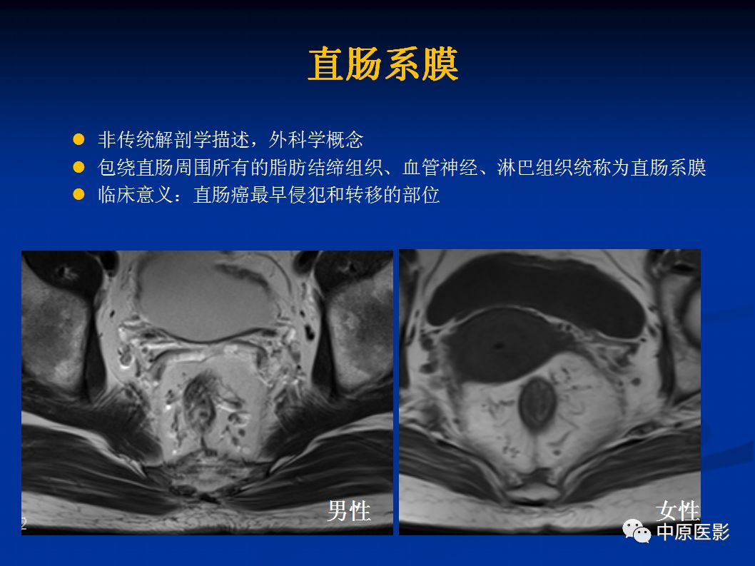 影像PPT - 【PPT】直肠癌的MRI诊断-8