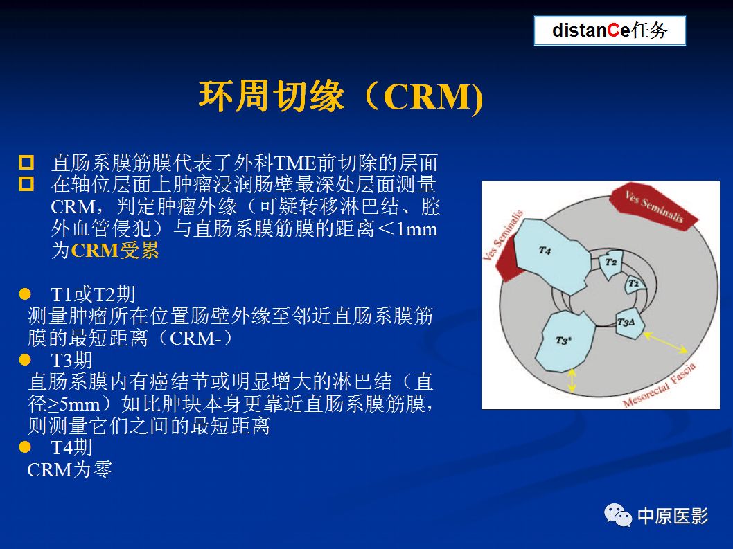 影像PPT - 【PPT】直肠癌的MRI诊断-39