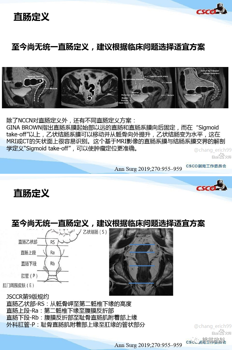 影像PPT - 直肠癌MRI解剖、扫描规范、影像学评价、结构式报告-3