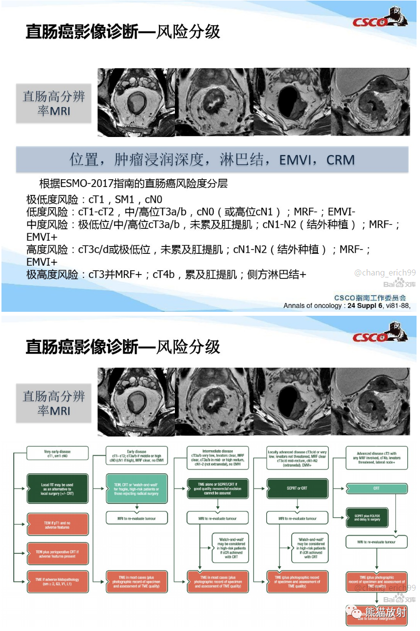 影像PPT - 直肠癌MRI解剖、扫描规范、影像学评价、结构式报告-11