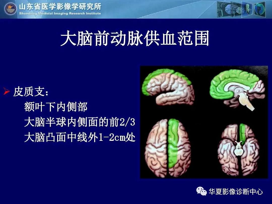 影像PPT - 【PPT】缺血性脑血管病的影像诊断-4