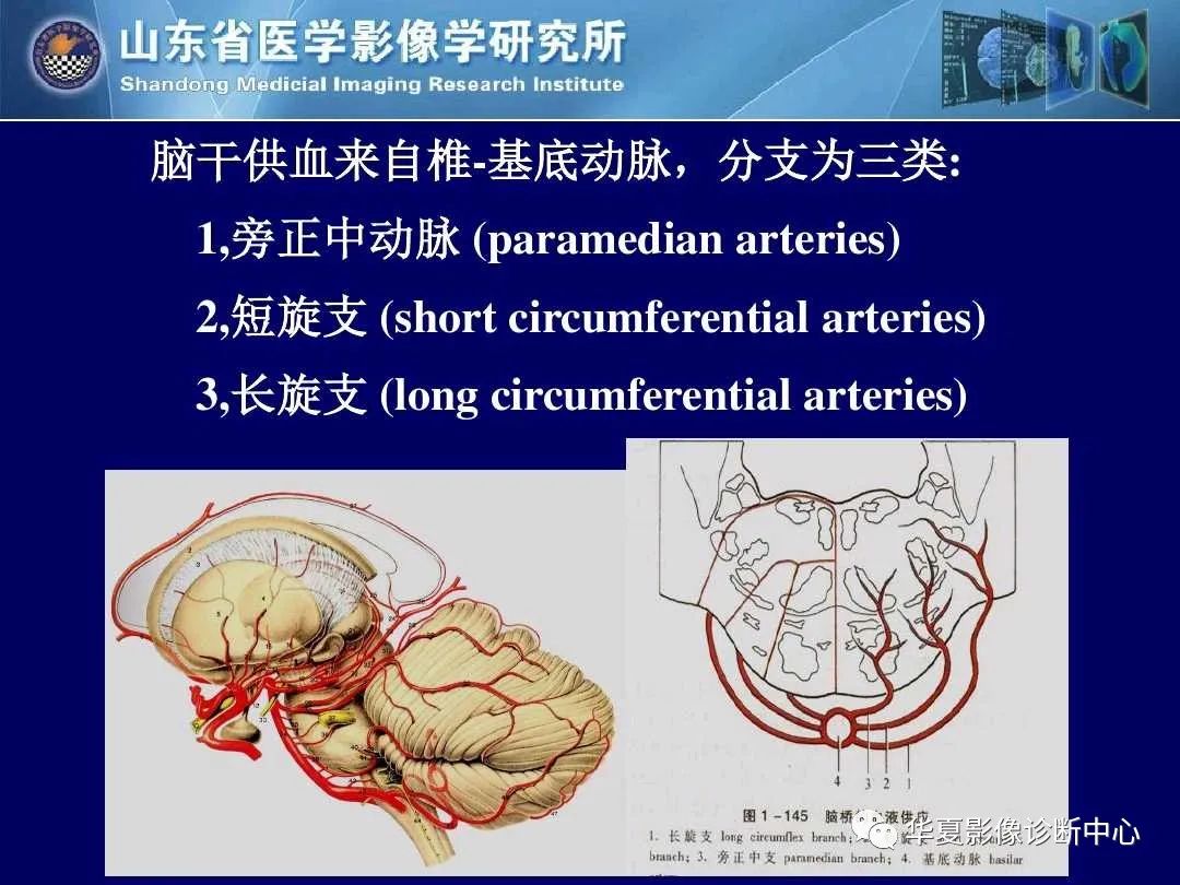 影像PPT - 【PPT】缺血性脑血管病的影像诊断-27