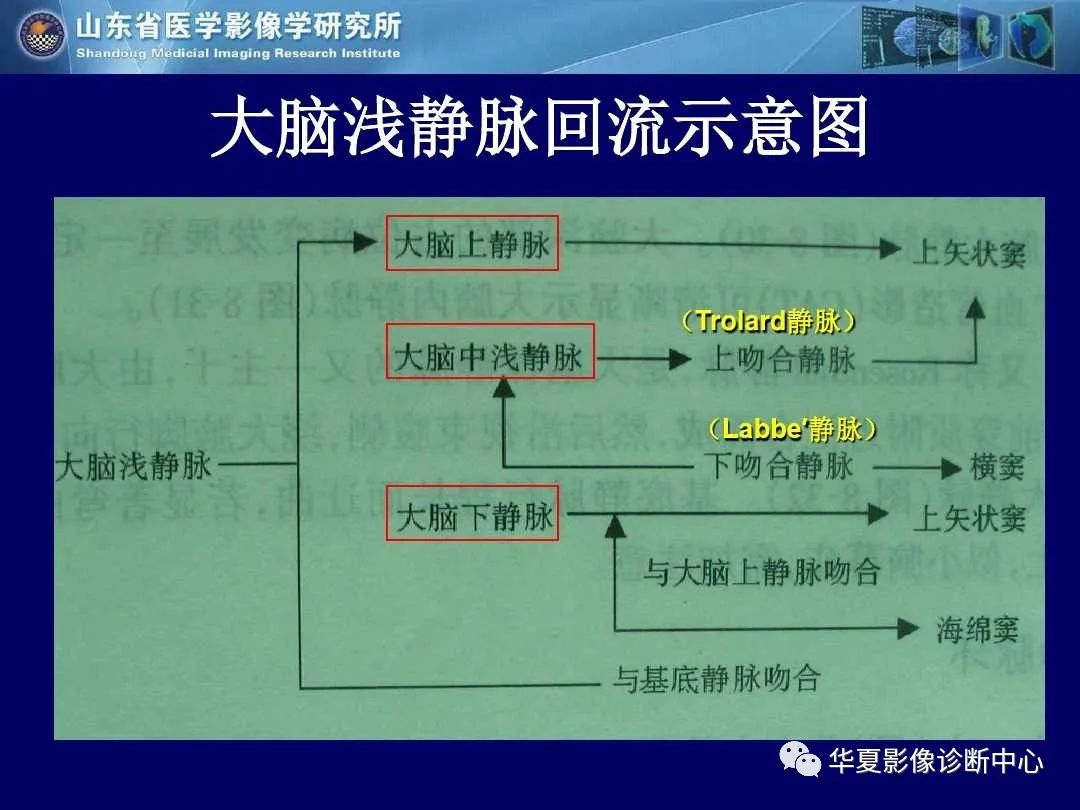 影像PPT - 【PPT】缺血性脑血管病的影像诊断-65