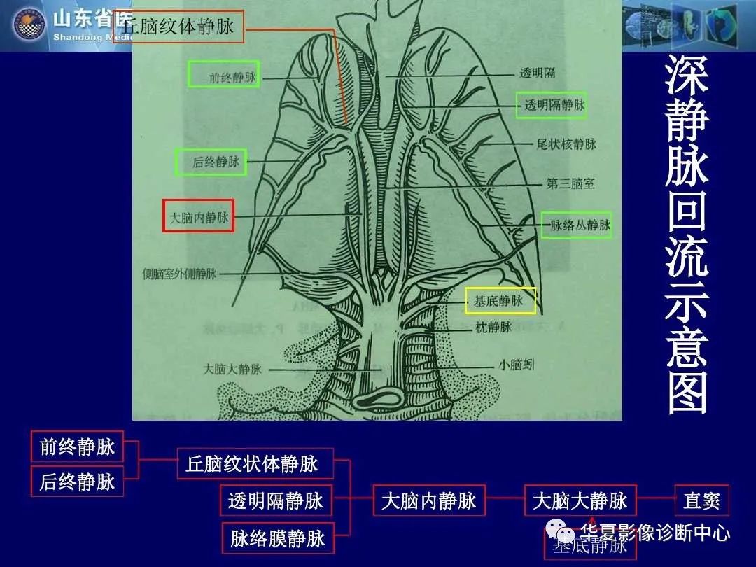 影像PPT - 【PPT】缺血性脑血管病的影像诊断-66