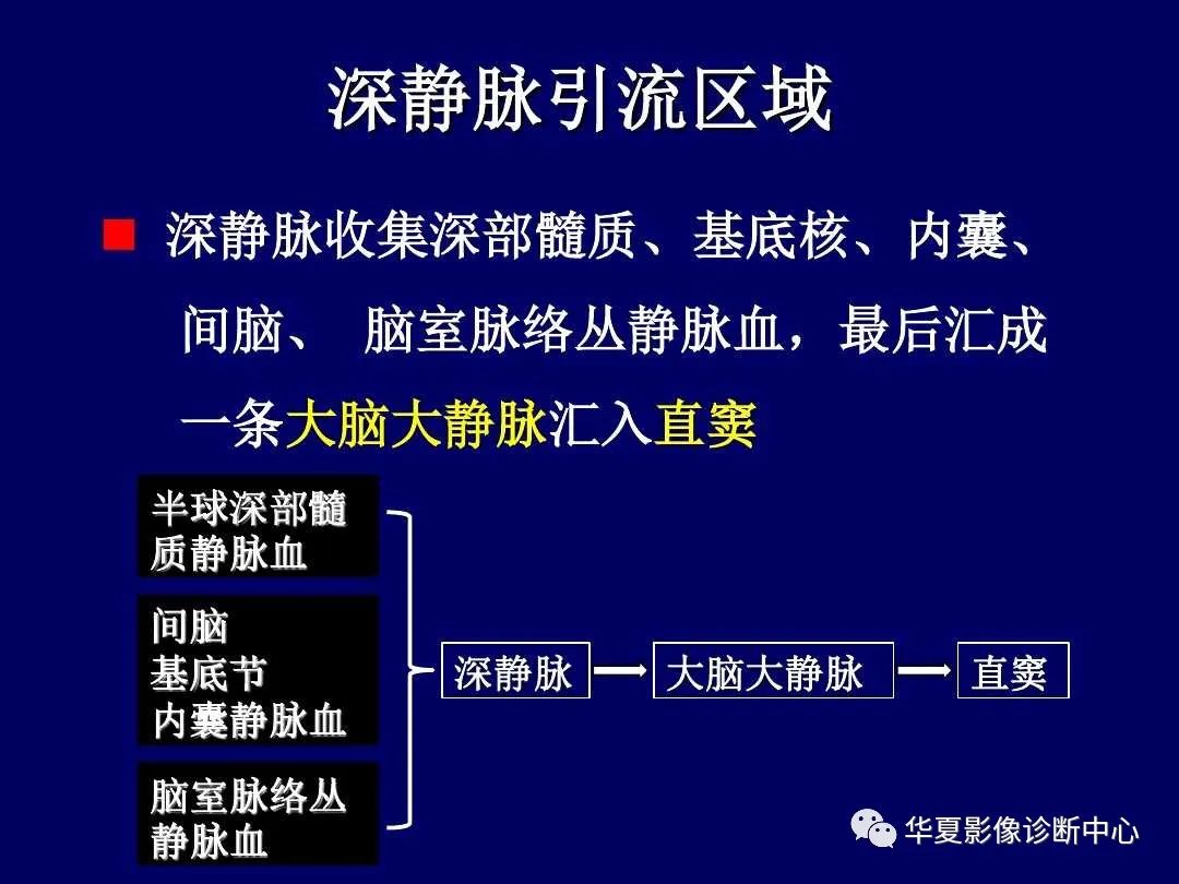 影像PPT - 【PPT】缺血性脑血管病的影像诊断-70
