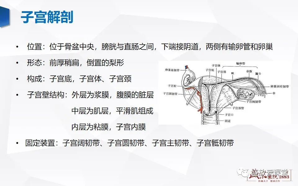 影像PPT - 【PPT】子宫病变MRI诊断-3
