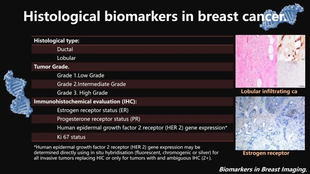 影像PPT - 【PPT】​乳腺影像中的生物标记物-21