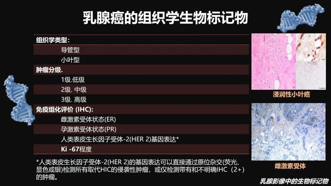 影像PPT - 【PPT】​乳腺影像中的生物标记物-22