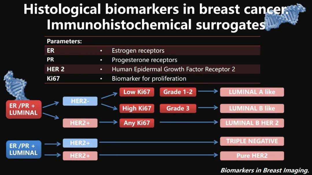 影像PPT - 【PPT】​乳腺影像中的生物标记物-23