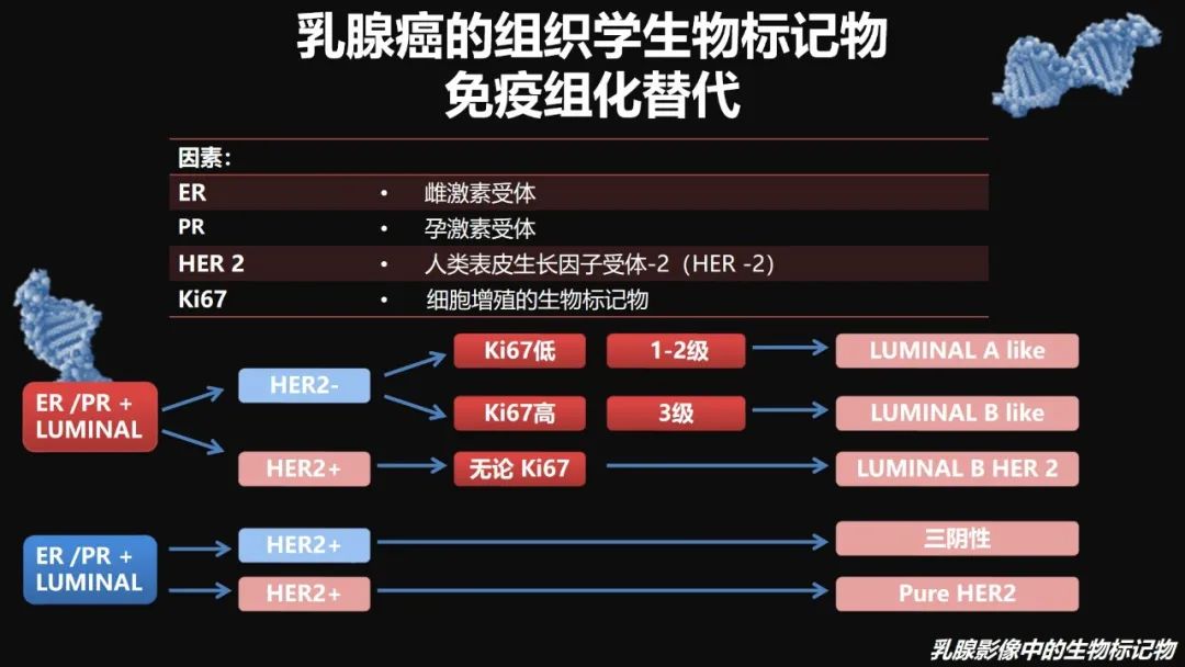 影像PPT - 【PPT】​乳腺影像中的生物标记物-24