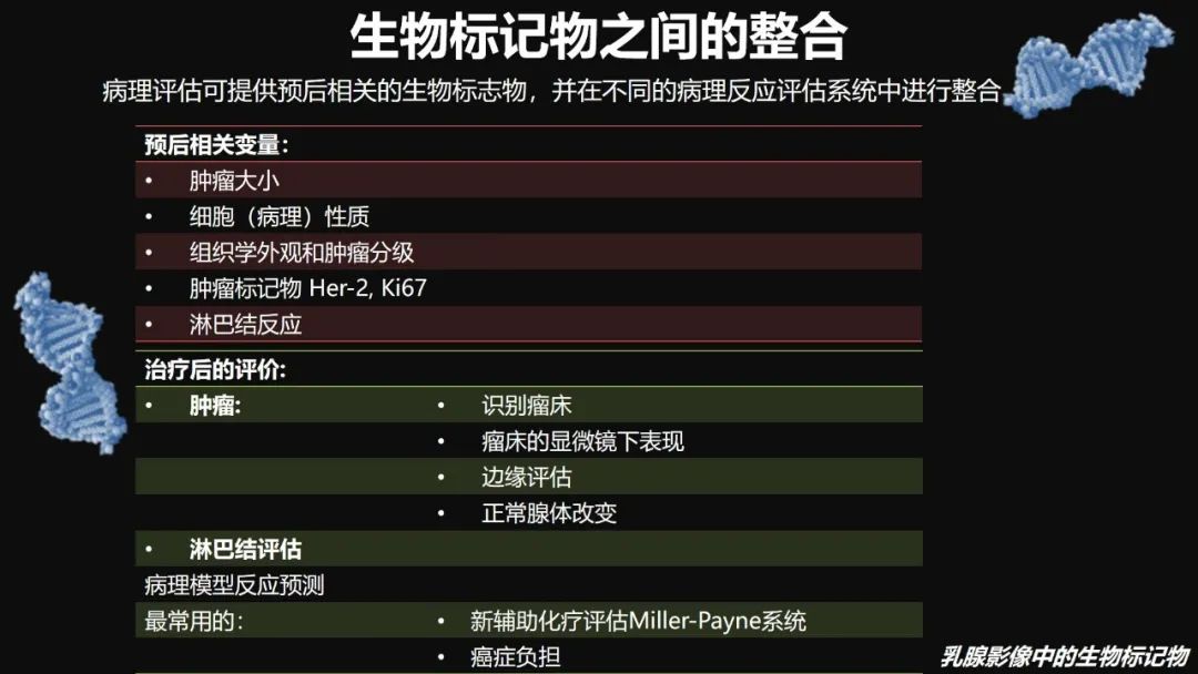 影像PPT - 【PPT】​乳腺影像中的生物标记物-42