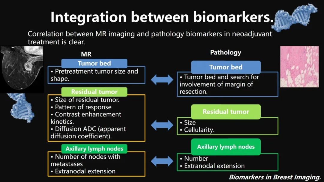 影像PPT - 【PPT】​乳腺影像中的生物标记物-43