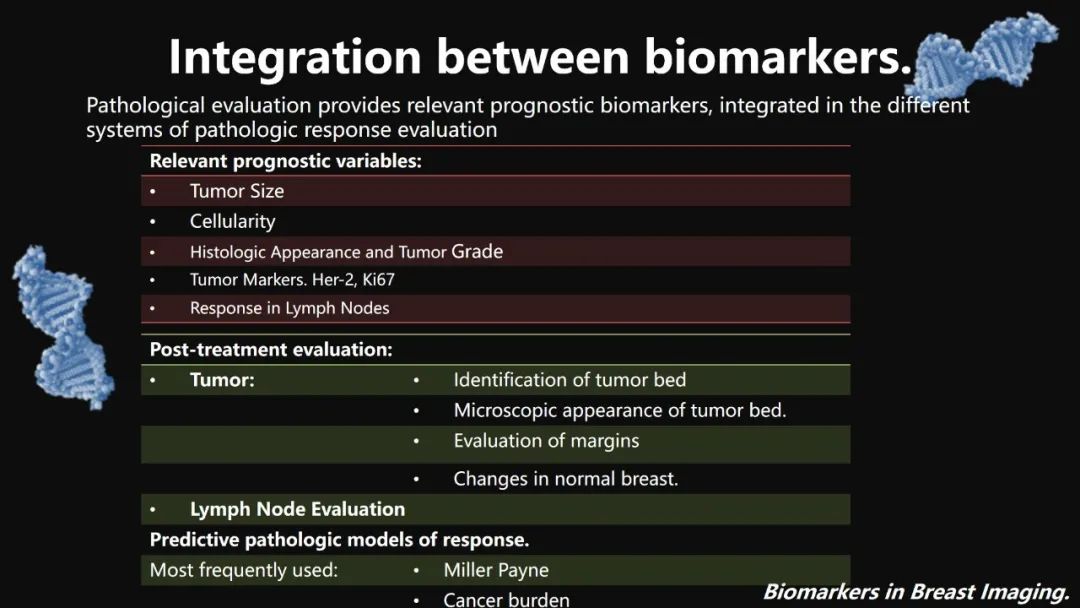 影像PPT - 【PPT】​乳腺影像中的生物标记物-41
