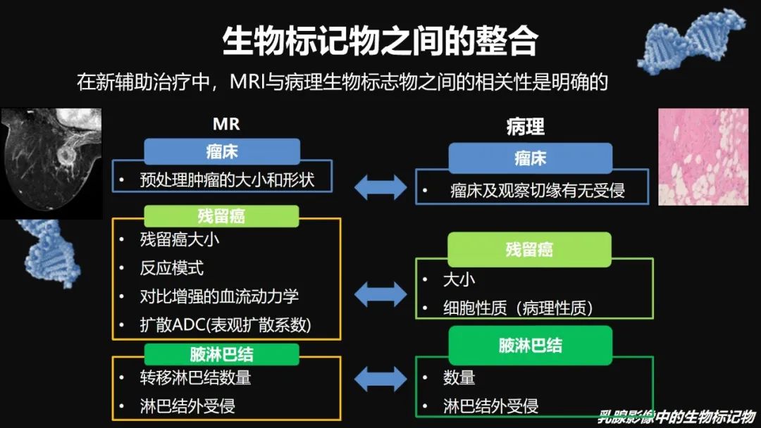 影像PPT - 【PPT】​乳腺影像中的生物标记物-44