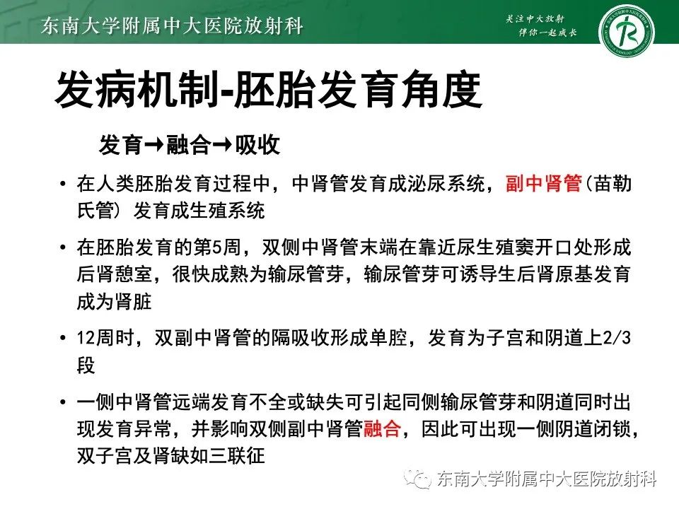 影像PPT - 【PPT】阴道斜隔综合征-9